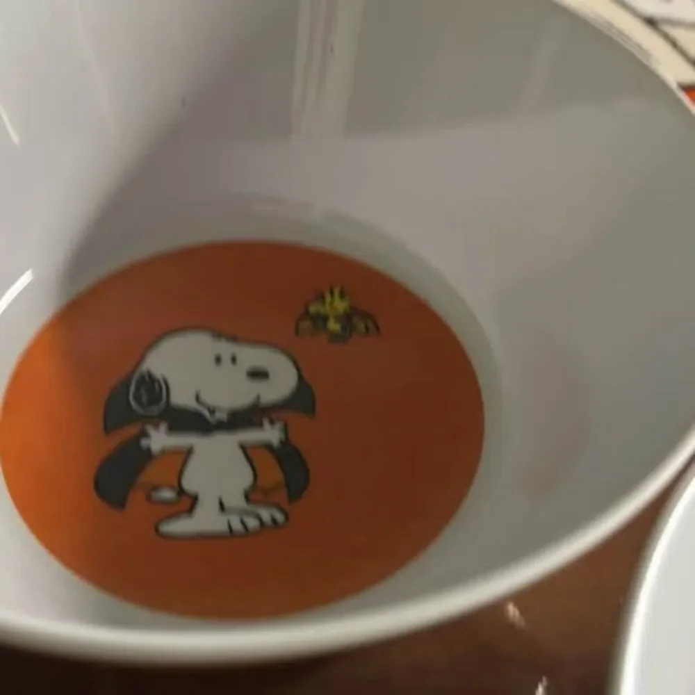 Pottery Barn Peanuts Snoopy Halloween Plate and Bowl 4 set (8 total) Melamine